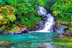 Konon Diyakini Menjadi Gerbang Menuju Kerajaan di Dunia Lain Di Balik Curug Panjang Megamendung, Bogor