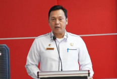 Pemda Diminta Royongan Bantu Sumut, Sumbar dan Aceh 