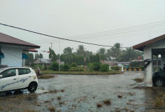Hujan Deras dan Angin Kencang Landa Mukomuko, Warga Diminta Waspada