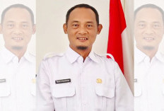 PT API Bakal Kelola 42.000 Hektar Lahan Multi Usaha Kehutanan, Termasuk Pertambangan Batu Bara? 