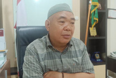 Revisi Perda PDRD Tak Hanya Fokus Pada PKB dan BBNKB