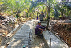  Pemdes Muara Santan Bangun 4 Titik Lapangan Volly & 4 Kolam Ikan Air Tawar