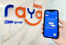 Kelola Keuangan Kian Cerdas Dengan Raya Story