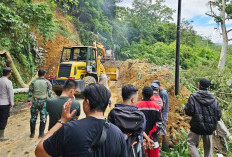  Antisipasi Longsor, Suhardi: Jalan Curup-Lebong Butuh Penanganan Permanen