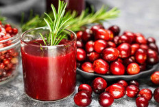 8 Manfaat dari Cranberry Juice untuk Kesehatan Tubuh, Baik untuk Organ Intim!