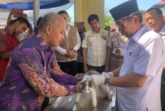 Tekan Rabies, Penting Kendalikan Populasi Hewan Peliharaan