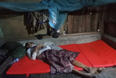 Terbaring Dalam Gelap, Selamet Warga Rawa Mulya SP7 Menanti Uluran Tangan dan Cahaya Harapan