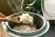 Jarang Diketahui, Beberapa Cara Mencegah Nasi Berbau Menggunakan Magic Com