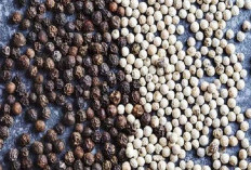 Mengungkap 8 Manfaat Kesehatan dari Ketumbar Hitam untuk Tubuh