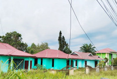 Rumdin Unsur Pimpinan Dewan Mukomuko Tetap Mangkrak