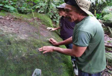 Mitos Situs Ceker Kidang di Jawa Barat: Misteri Jejak Kaki Rusa dan Wisata Alamnya
