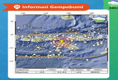 Sebelum Bengkulu, Gempa Dangkal Juga Terjadi di Wilayah Indonesia Timur, BMKG Imbau Pentingnya Drill