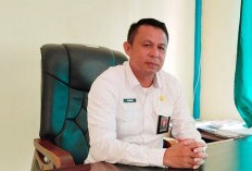 Pemkab Mukomuko Mulai Penataan Tapal Batas Berbasis Satelit