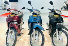 Honda NCX 125 2026 Tampil Elegan dengan Warna Baru, Mesin Irit BBM