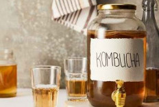 Mengenal 11 Khasiat dari Kombucha Untuk Kesehatan Tubuh yang Jarang Diketahui