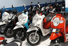Info Harga Terbaru Motor Scoopy Bekas dari Tahun 2010 hingga 2025, Cek Di Sini!