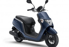 Misteri Honda Dunk! Mengapa Skutik Mungil 49cc Ini Harganya Setara Scoopy?