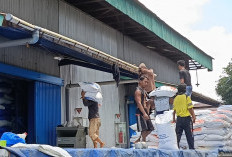 Potensi Upah Pekerja Bengkulu Tahun 2025 Naik Lagi di Kabupaten Ini