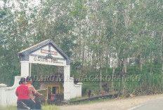 Pemdes Kualalangi Ajukan Enclave Lahan Plasma dari HGU PT Pamor Ganda
