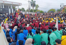 Unjuk Rasa Indonesia Cemas Jilid II, Ini Aspirasi Massa Aksi di Bengkulu