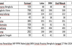 BKN Sudah Terbitkan 2.024 NIP PPPK Nakes di Provinsi Bengkulu, Terbanyak Ada di Bengkulu Utara dan Kepahiang 