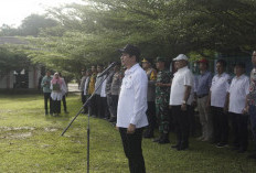 Ancaman Perusakan Hutan di Pulau Enggano