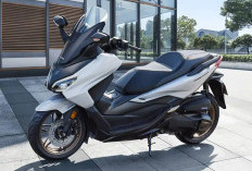 Update Desember 2025 : DP 18 Jutaan, Berapa Cicilan Honda Forza 250 Per Bulan?