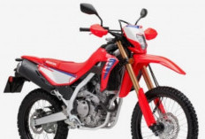 Trail Honda Terbaru : CRF300L 2026! Konon Buat Kawasaki KLX 300 Ketar-Ketir