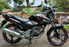 Generasi 3, Honda Tiger Revo, Dari Motor Paling Tangguh Hingga Harganya yang Melejit