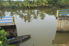 Longsor Tebing Sungai di Mukomuko Butuh Penanganan Cepat