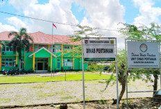 Tingkatkan Kualitas dan Produktivitas Kebun, Dinas Pertanian Latih 23 Kelompok Petani Sawit