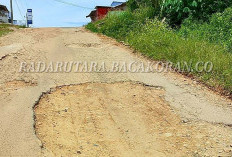 Jalan Poros Desa Bukit Berlian Bengkulu Utara Rusak Parah, Kades Desak Perhatian Pemerintah