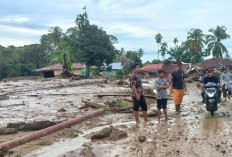 Korban Meninggal Dunia Bencana di Sumatra Mencapai 303 Jiwa