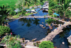 Situs Citaman Pandeglang, Kolam Suci Berumur Lebih dari 2.500 Tahun yang Konon Keramat 