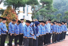 Belum Tersentuh Mutasi, Sejumlah Pejabat Eselon II Mukomuko Mulai Disorot
