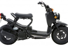 Ulas Khusus Honda Ruckus! Mengapa Skuter Mungil Ini Sering Dimodifikasi Jadi 150cc?