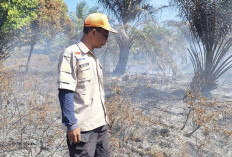 Lahan Gambut di Kota Mukomuko Terbakar, Pemadaman Terkendala Akses