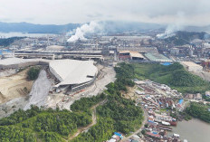 Dorong Kenaikan Harga, Kementerian ESDM Pangkas Produksi Nikel Hingga 260 Juta Ton