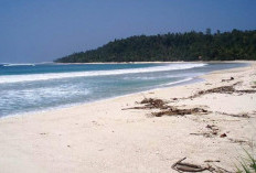 BKSDA Tutup 21 Kawasan TWA dan Cagar Alam Sepanjang Pantai, Ini Alasannya