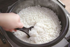 Mom Kenali Biar Tidak Mubazir ! Ini 7 Cara Masak Nasi Yang Benar Di Rice Cooker,  Supaya Tidak Cepat Basi