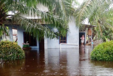  BPBD Waspada & Cek Wilayah Terdampak Banjir di Mukomuko