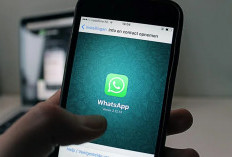 Penting! Jaga Privasi Digital : Panduan Lengkap Fitur Sekali Lihat WhatsApp