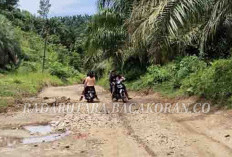 Pembangunan Jalan Provinsi Bukit Indah-Dusun Raja Jadi Atensi Prioritas FKKD Ketahun 