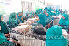 Supervisi PKK Kabupaten di Kecamatan Putri Hijau untuk 3 Desa Sukses