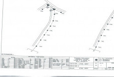 PLN Rilis Peta Jalur Penambahan Trafo di Desa Suka Maju, Realisasi Ditarget Tahun 2025