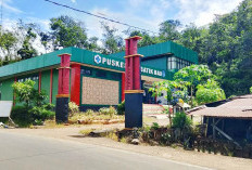 Rahasia Pengelolaan Keuangan BLUD Puskesmas: Fleksibilitas Dana dan Dampaknya pada Layanan Kesehatan