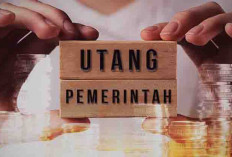 Utang Pemerintah Kembali Naik. Kini Menjadi Rp7.950 Triliun