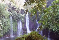 Curug Tujuh Cibolang Ciamis Mengungkap Kisah Mitos dan Keindahan Alamnya