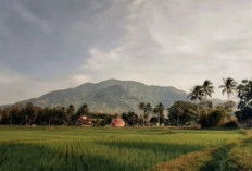 Misteri Gunung Sadakeling: Lokasi, Ketinggian, Puncak, dan Mitos di Balik Sejarahnya