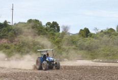 Dari Produksi ke Pemulihan: Komitmen PHR Mengelola Lingkungan di WK Rokan